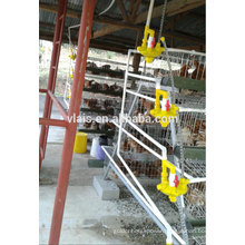 Adult chicken cage for sale, cheaper price with baby/adult chicken cage